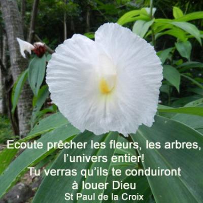 St-Paul-de-la-Croix-écoute prêcher les fleurs