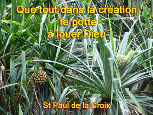 St-Paul-de-la-Croix-Que tout dans la création