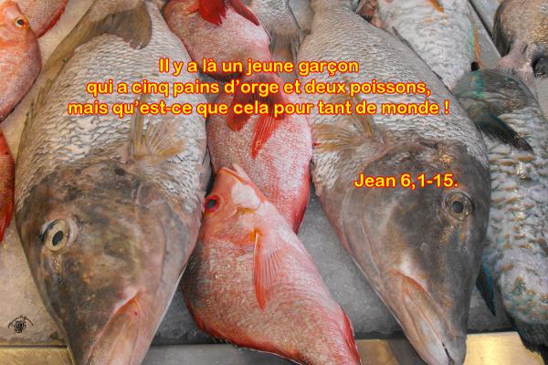 Jean 6 1 15aw