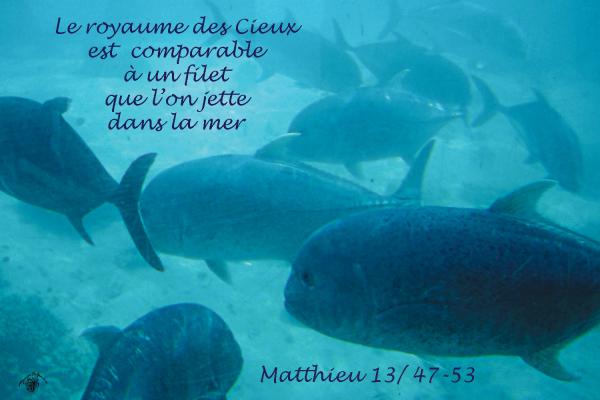 Matthieu 13 47 53w