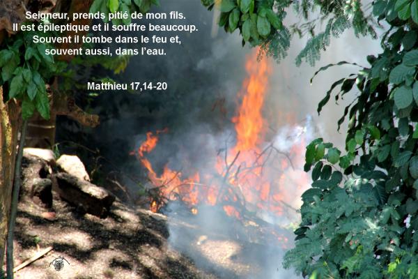 Matthieu 17 14 20daw
