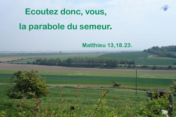 Matthieu 18 13 23aw