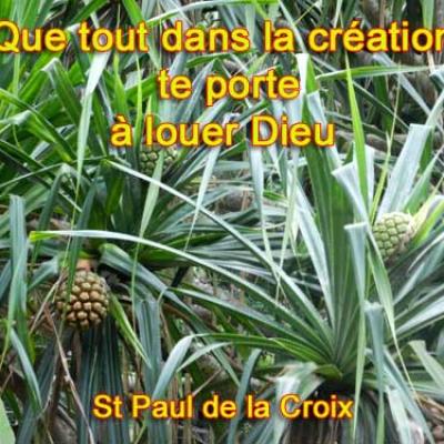 St-Paul-de-la-Croix-Que tout dans la création
