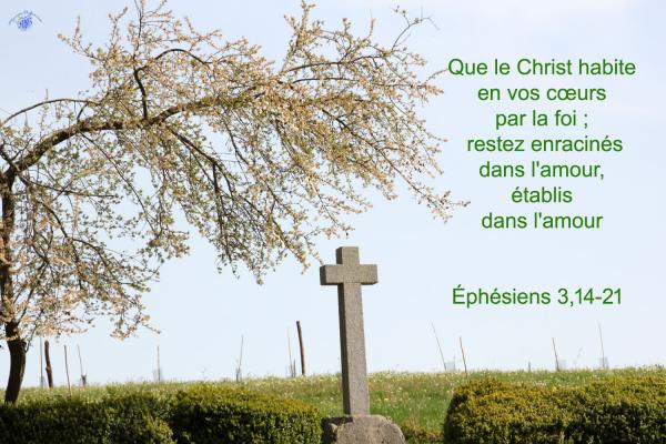 Ephesiens 3 14 21aw 1