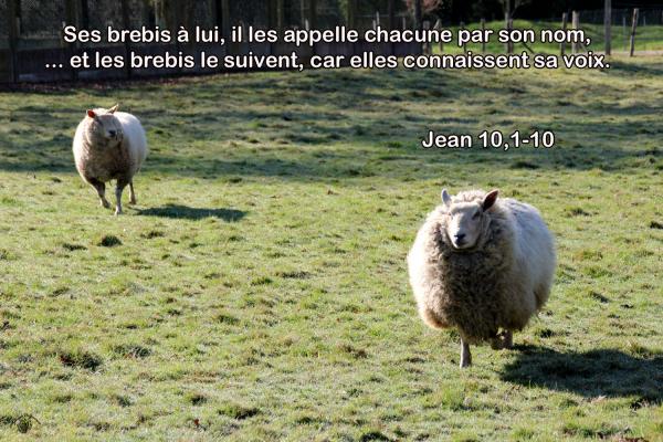 Jean 10 1 10aw
