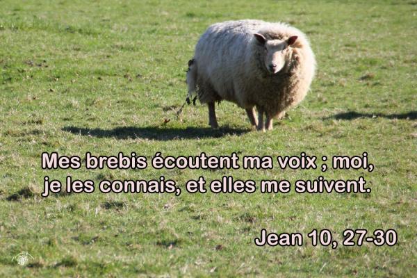 Jean 10 27 30aw