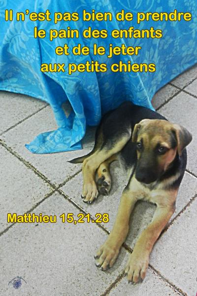 Matthieu 15 21 28aw