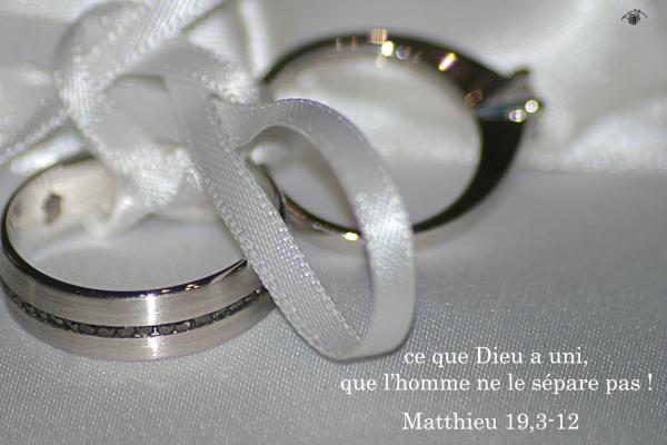 Matthieu 19 3 12aw